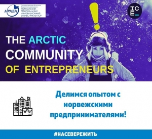 24 февраля в Киркенесе прошло мероприятие для местных предпринимателей в рамках проекта ICE!