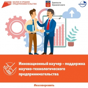 Инновационный ваучер – поддержка научно-технологического предпринимательства в Мурманской области