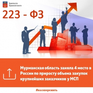 Мурманская область заняла 4 место в России по приросту объема закупок крупнейших заказчиков у МСП
