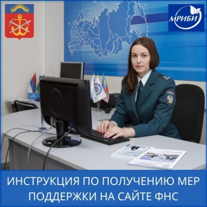 На сайте ФНС России опубликована пошаговая инструкция для бизнеса по получению мер поддержки