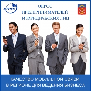 Опрос по вопросам качества и стоимости мобильной и интернет связи в Мурманской области для ведения бизнеса