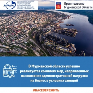 В Мурманской области успешно реализуется комплекс мер, направленных на снижение административной нагрузки на бизнес в условиях санкций