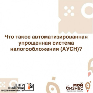 Предлагаем разобраться: что такое автоматизированная упрощенная система налогообложения (АУСН)?