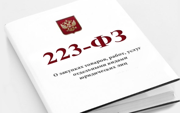 АО «Корпорация «МСП» проводит семинар по эффективному участию в закупках по 223-ФЗ