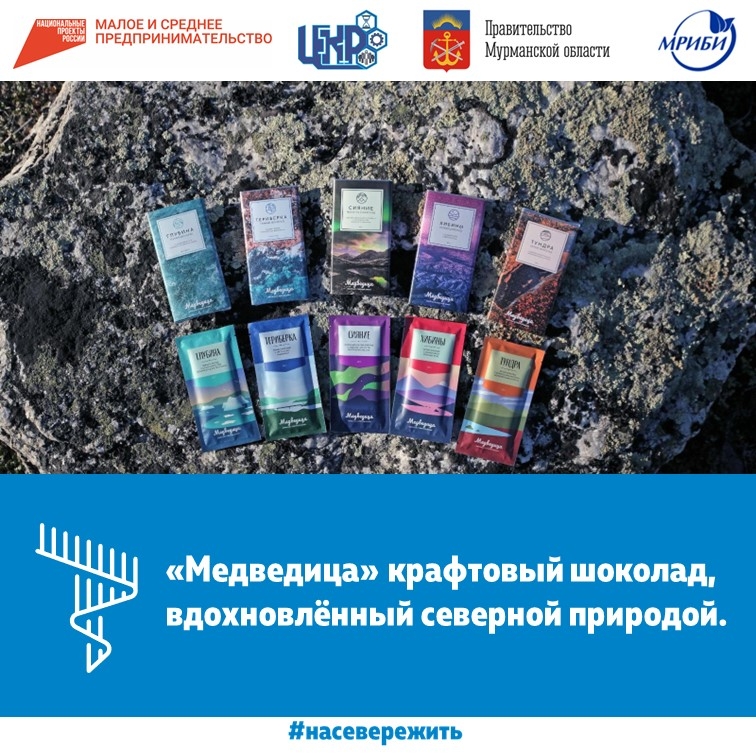 МЕДВЕДИЦА. Шоколад с северной душой.