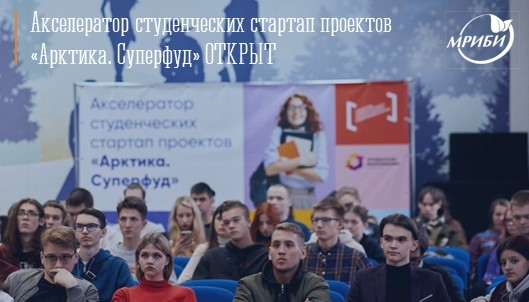 12 сентября Мурманский Арктический Университет собрал участников и партнеров на торжественном открытии Акселератора «Арктика. Суперфуд».