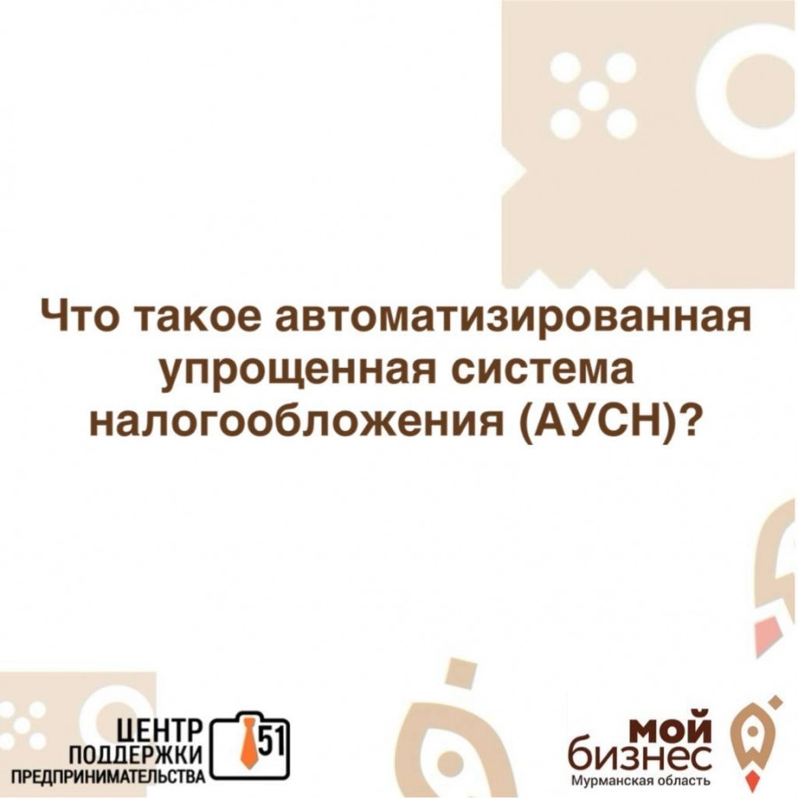 Предлагаем разобраться: что такое автоматизированная упрощенная система налогообложения (АУСН)?